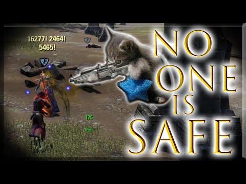 I Love This Damage Build 🐱‍👤 Stamina Nightblade Solo PvP Gameplay - ESO - Harrowstorm