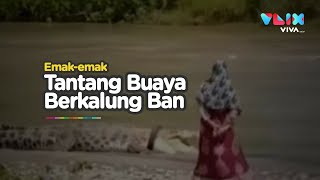 Download lagu Buaya Berkalung Ban Muncul Lagi, Emak-emak Nekat Mendekati mp3 Download lagu Buaya Berkalung Ban Muncul Lagi, Emak-emak Nekat Mendekati mp3
