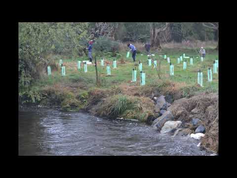 VFA Talk Wild Trout 2020 - Thu 26 Nov - Trees for Trout with Julie Morgan