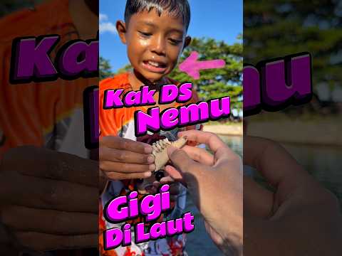 Kak DS nemu Gigi di laut #comedy #minivlog #anakdesa #gigi #laut