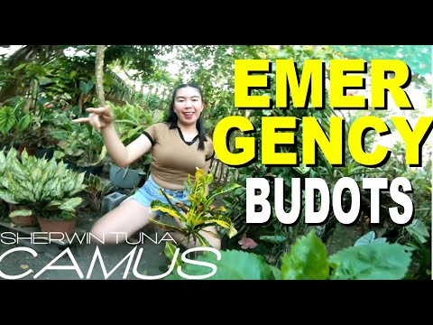 BUDOTS DANCE EMERGENCY BUDOTS