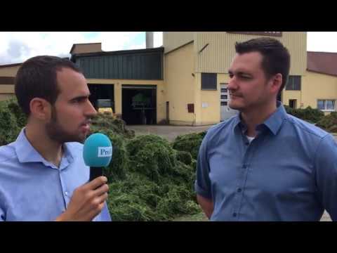 Der Produktionsprozess bei der Qualitätstrocknung Nordbayern