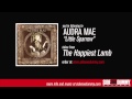 Audra Mae - Little Sparrow (Official Audio)