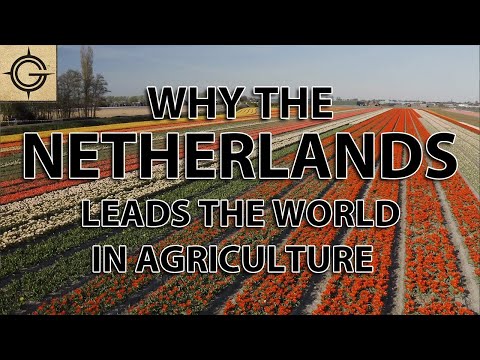 , title : 'Why the Dutch Lead the World in Agriculture Exports'