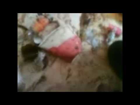 Folge 2:Polizeirevier Dortmund