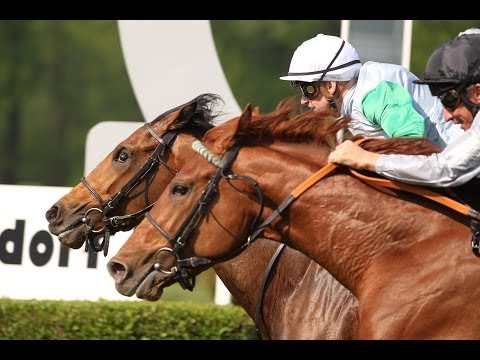 Düsseldorf: Persil-Rennen (D) - Sieger: Firestorm