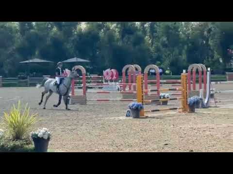 show video 1