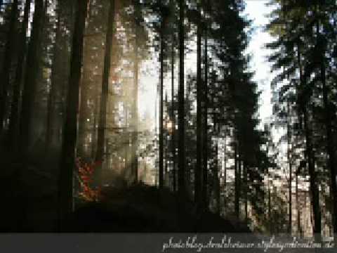 Domnul este adapost (Psalm 23) - Grupul Eden Spania