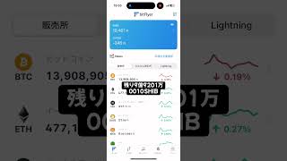 SHIBのくじら(大口投資家)になりたい#13