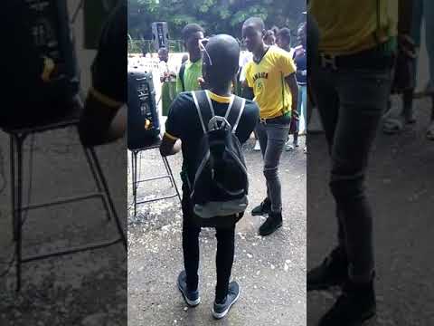 Black Python-freestyle