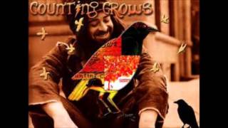 The Ballad Of El Goodo - Counting Crows (cover)