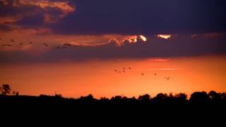 Ray of Hope - Jon Anderson