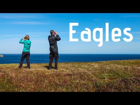The Search for Eagles on the Outer Hebrides