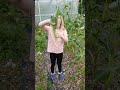 "Watch out for Earwigs" 😳