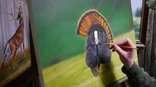 Painting A Strutting Turkey: The King of Spring