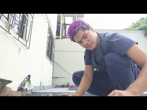 Deslanado y Baño medicado de Bernarda