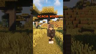 Download lagu Acacia Wood is NOT Ugly #minecraft #minecraftbeauty #minecraftbuilding mp3 Download lagu Acacia Wood is NOT Ugly #minecraft #minecraftbeauty #minecraftbuilding mp3