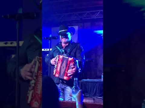 Stevie d all star cast