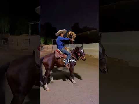 Le Secret des Cow-boys pour Maîtriser un Cheval avec un Lasso !