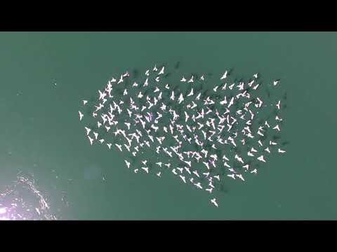 Letem Českem Karma dronem