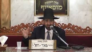 הרב אייל שרגא • פרשת ויקהל פקודי • שבת החודש (בית הכנסת מוסאיוף - ערוץ חדש) - התמונה מוצגת ישירות מתוך אתר האינטרנט יוטיוב. זכויות היוצרים בתמונה שייכות ליוצרה. קישור קרדיט למקור התוכן נמצא בתוך דף הסרטון הרב אייל שרגא • פרשת ויקהל פקודי • שבת החודש (בית הכנסת מוסאיוף - ערוץ חדש) - התמונה מוצגת ישירות מתוך אתר האינטרנט יוטיוב. זכויות היוצרים בתמונה שייכות ליוצרה. קישור קרדיט למקור התוכן נמצא בתוך דף הסרטון