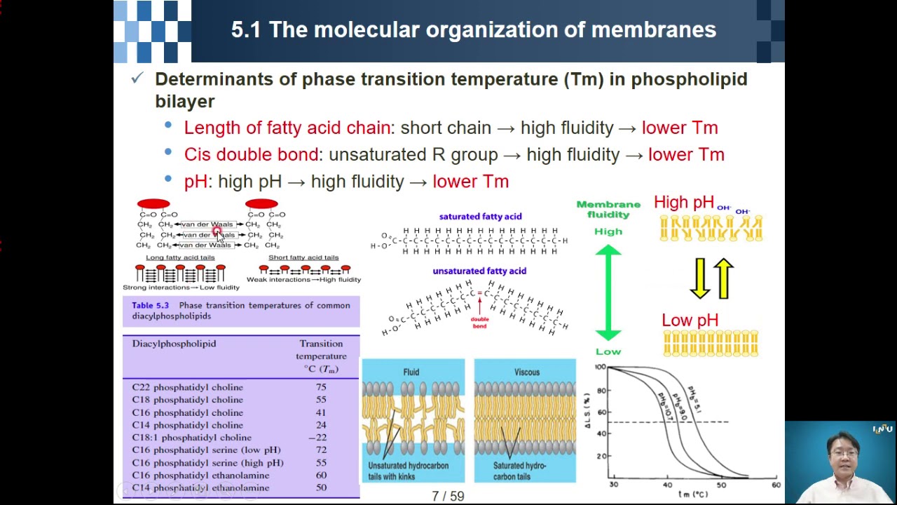 Protein Engineering Chapter 05
