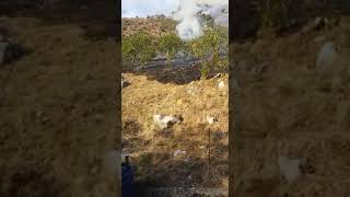 incendio-a-cervinara-in-localita-castello