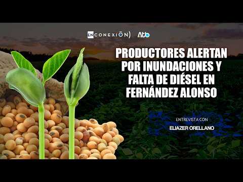 Productores alertan por inundaciones y falta de diésel en Fernández Alonso