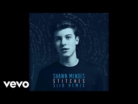 Shawn Mendes - Stitches (SeeB Remix - Audio)