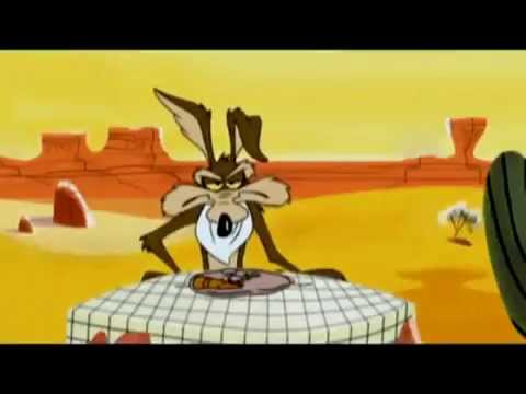 Hook Up Animation / Coyote Survive / Cartoon Network