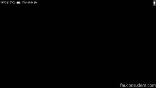 Faucons UdeM - Caméra 1 live webcam