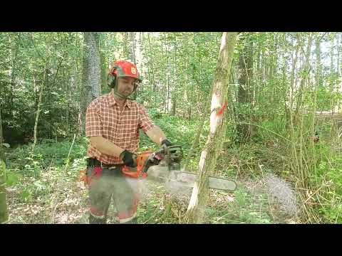 Möglichkeit die Säge zum Kettenschärfen auf angenehmer Arbeitshöhe zu fixieren✅