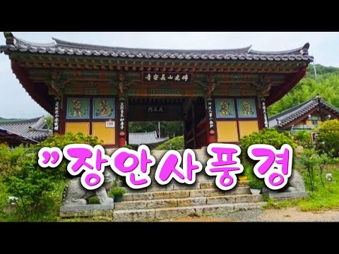 부산 기장 장안사, 자연과 어우러진 아름다운 사찰 여행