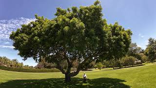 Episode 21: Righteous Anger