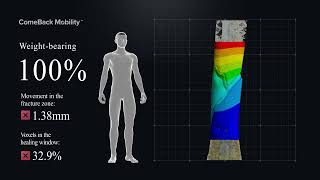 #8029 CT1 21102025