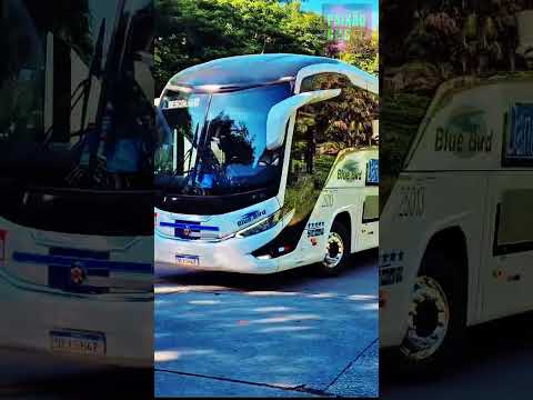 SÃO PAULO x DESCALVADO: O G8 1200 DA DANÚBIO AZUL RUMO AO INTERIOR! 🚍🛣️