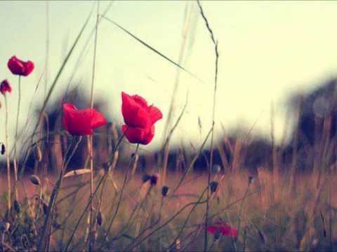 Riccardo Rizza - This one out