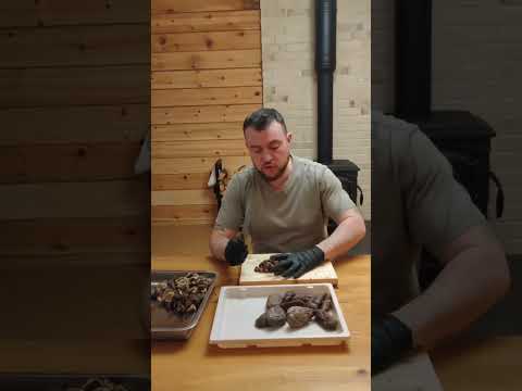 На чем настаивает бобровую струю травник Кайгородов