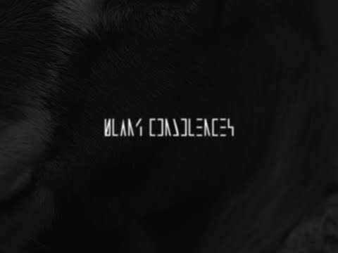 Video thumbnail for Blank Condolences (acoustic)