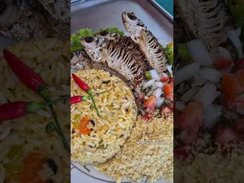 BANHO DO LOURO EM IRANDUBA NO AMAZONAS. #shorts #animal #pesca #brasil #dicas #comida #rio #natureza