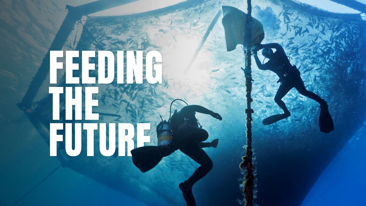 Feeding the Future from the Sea