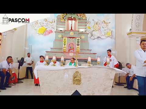 16° DOMINGO DO TEMPO COMUM - 19/07- 9h