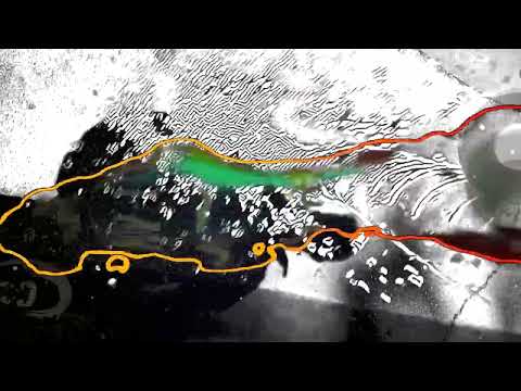 El Columpio Asesino, Santi Balmes (Love of Lesbian) - Diamantes (Videoclip oficial)