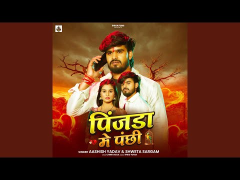 Pinjada Me Panchhi — watch video