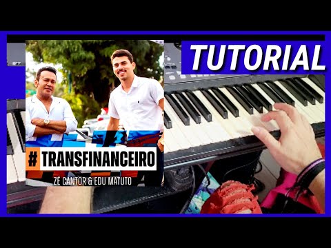 Transfinanceiro - Edu Matuto