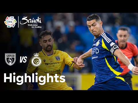 bg-highlight