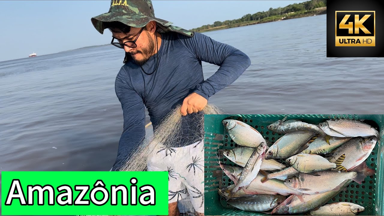 PIRACEMA NO RIO AMAZONAS