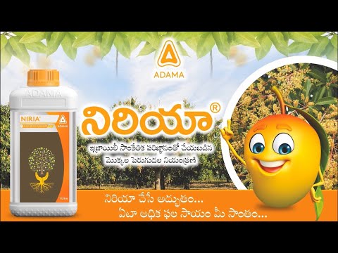 Adaphon Adama Plant Growth Regulator, Liquid