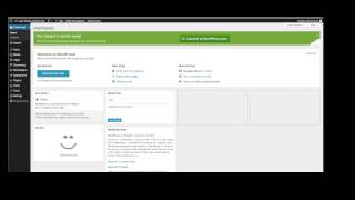 how to remove second home page on wordpress site