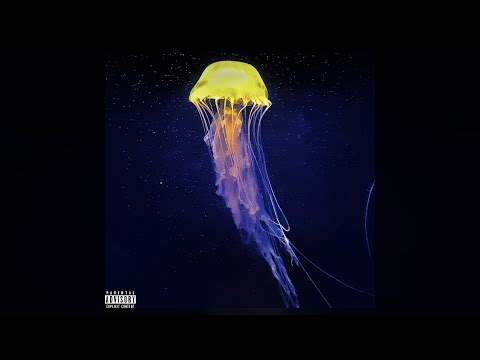 [FREE] Damso x Drake x House Type Beat - Shell